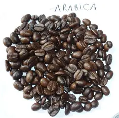 organic arabica coffee beans